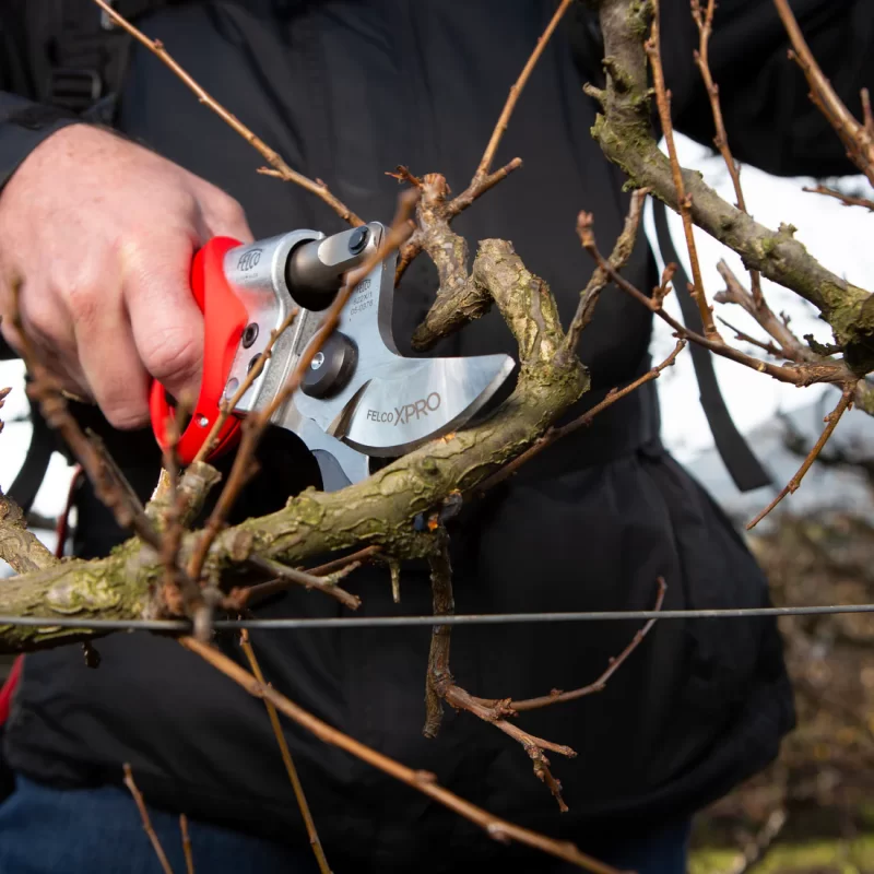 Suministros Agrícolas El Romeral